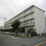 IMG_2435