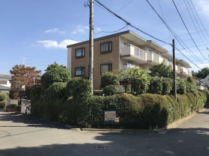 IMG_0168