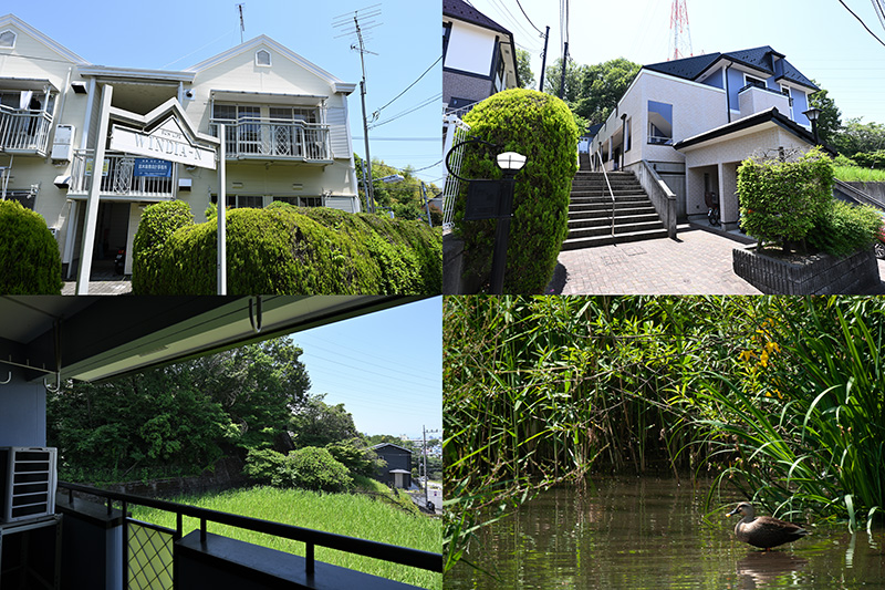 新緑がキレイな初夏。「緑が見えるお部屋」を内見してきました！