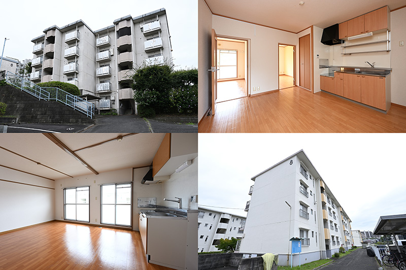 リフォーム済み8万円台の2LDKに、ペットOKで9万円台の3LDK。インフレ時代にこそ輝く「団地」の魅力！